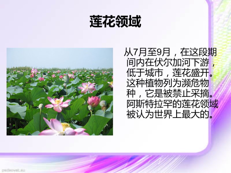 莲花领域    从7月至9月，在这段期间内在伏尔加河下游，低于城市，莲花盛开。这种植物列为濒危物种，它是被禁止采摘。阿斯特拉罕的莲花领域被认为世界上最大的。